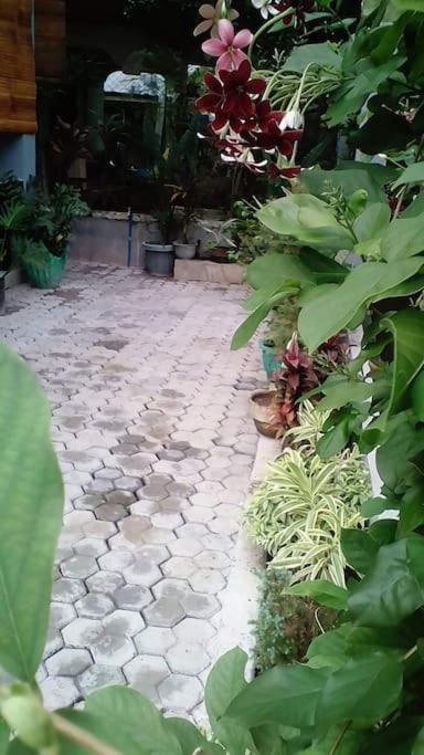 A Unique And Cozy Wholehouse In Babak Samal Island Villa Exterior photo